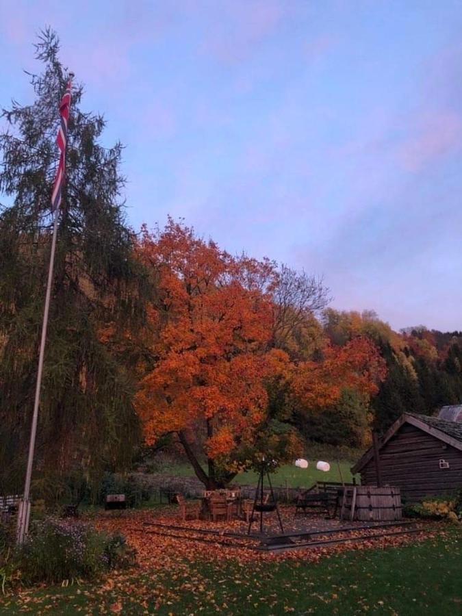 Skjeggestad Gjestehus Ringebu Exterior foto